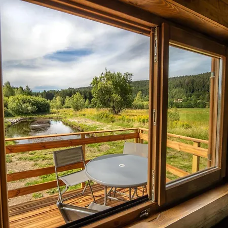 Chevreuils Du Beillard Gérardmer