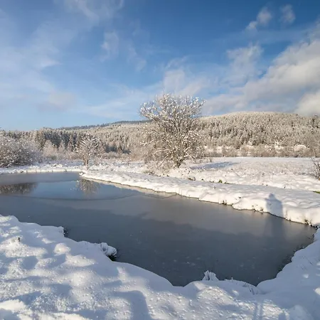 Chevreuils Du Beillard *