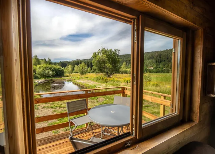 Chevreuils Du Beillard Gérardmer