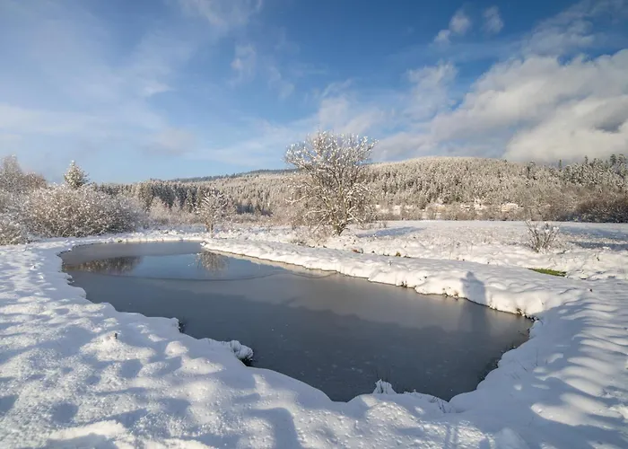 Chevreuils Du Beillard *